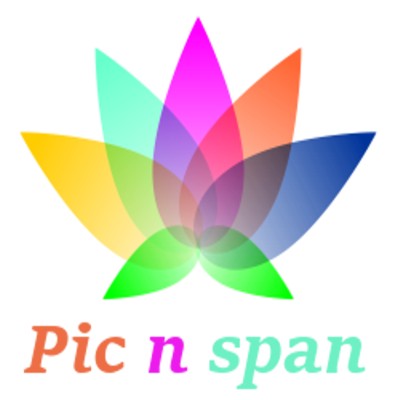 Pic n span's Logo