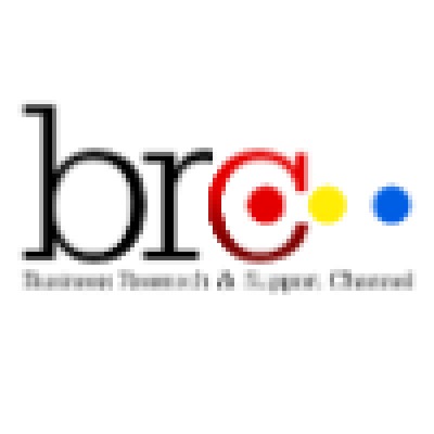 Business Research & Support Channel's Logo