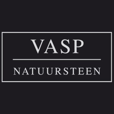 VASP bvba's Logo