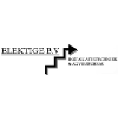 Elektige B.V.'s Logo