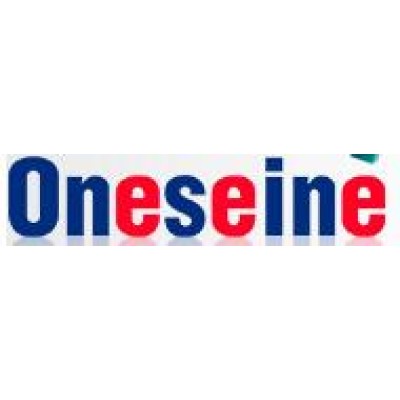 ONESEINE TECHNOLOGY CO.LTD's Logo