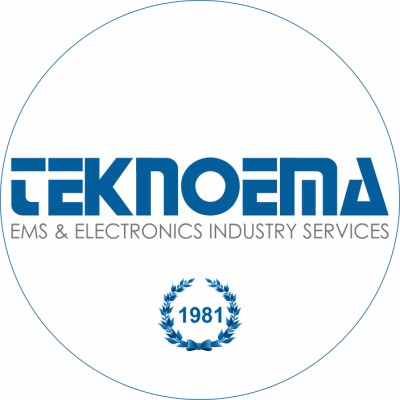 Teknoema S.r.l.'s Logo