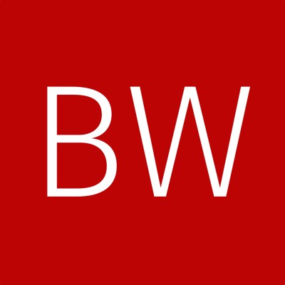 Björn Wilmsmann IT Services's Logo