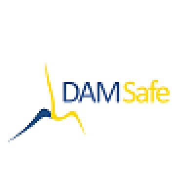 DAMSafe's Logo