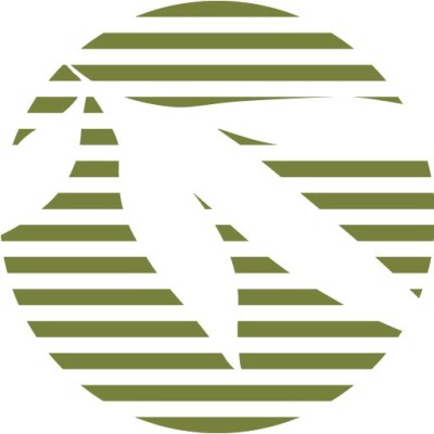 Bamboo Revolution's Logo