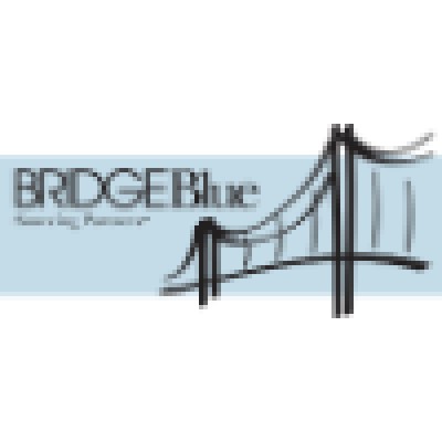 BridgeBlue Sourcing Partners's Logo