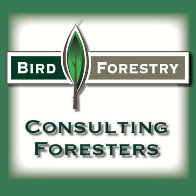 Bird Forestry's Logo