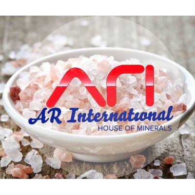 AR INTERNATIONAL's Logo