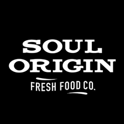 Soul Origin's Logo