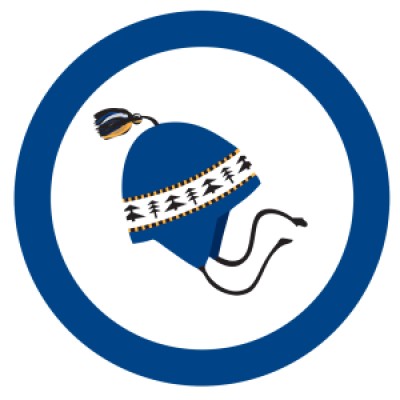 Blue Toque Consulting's Logo