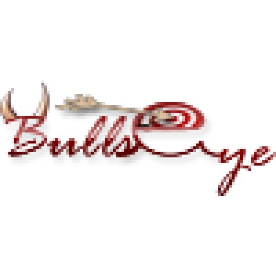 Bullseye infotech's Logo