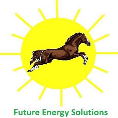 Future Energy Solutions's Logo