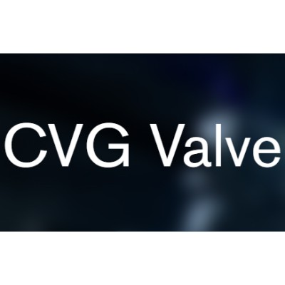 CVG Valve's Logo