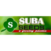 Top 100 Vegetable Seed Companies in Italy (2026) | ensun