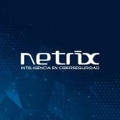 Netrix's Logo