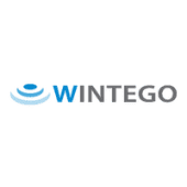 Wintego's Logo