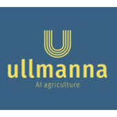 Ullmanna's Logo