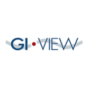 GI-View's Logo