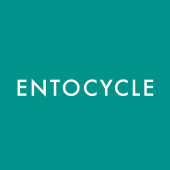 Entocycle's Logo