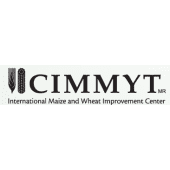 CIMMYT's Logo