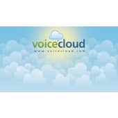 VoiceCloud LLC's Logo