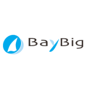 BayBig's Logo