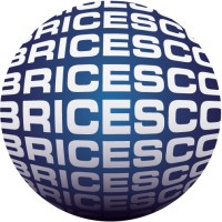 BRICESCO LIMITED's Logo