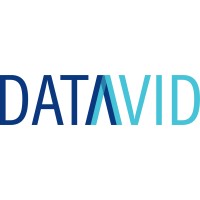 Datavid's Logo