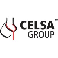 CELSA GROUP's Logo