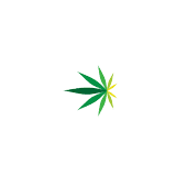 American Cannabis Company's Logo