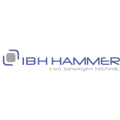 IBH Hammer's Logo