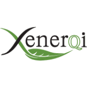 XenerQi's Logo