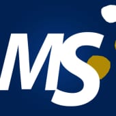 Management Solutions's Logo