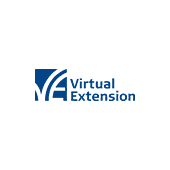 Virtual Extension's Logo