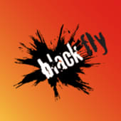 Black Fly Beverage's Logo