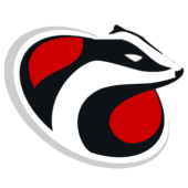 PartsBadger's Logo