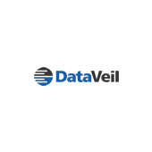 Dataveil's Logo