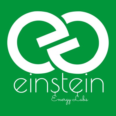 EINSTEIN ENERGY LABS PRIVATE LIMITED's Logo