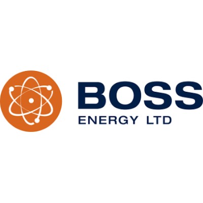 BOSS RESOURCES SWEDEN PTY LTD's Logo