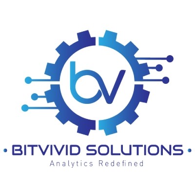 Bitvivid Solutions's Logo