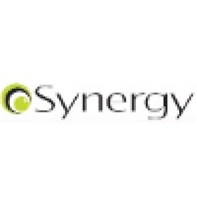 Synergy Tecnologia em Sistemas's Logo