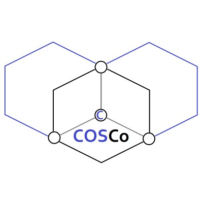 Cosco International Inc's Logo