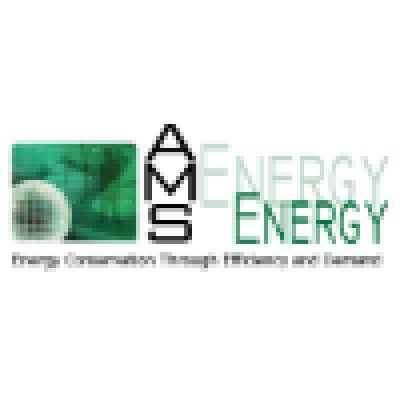 AMSEnergy Corp's Logo