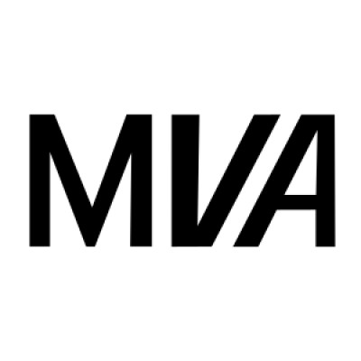 Mountain View Analytics's Logo