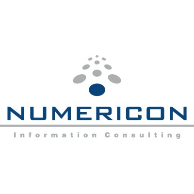 Numericon Information Consulting GmbH's Logo