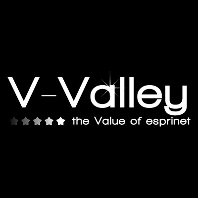 V-Valley the value of Esprinet's Logo