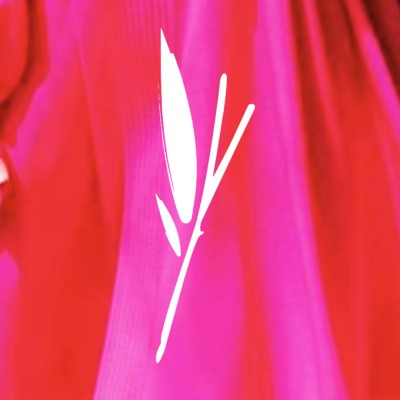 Village Wellness Spa's Logo