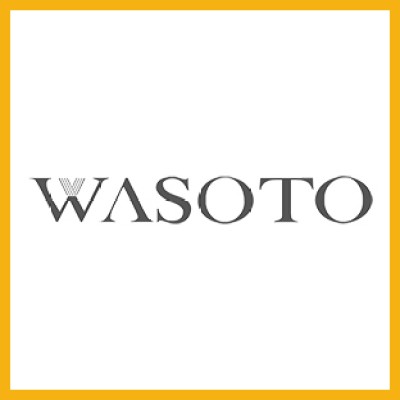 Shenzhen Wasoto Tech Co. Ltd's Logo