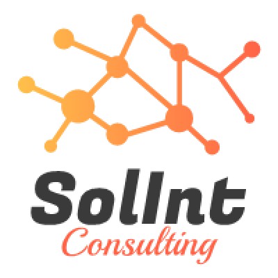 Solint Consulting's Logo