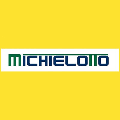 MICHIELOTTO SERVICE SRL - CRANES AND LIFTING SYSTEMS - GRU E SISTEMI DI SOLLEVAMENTO's Logo